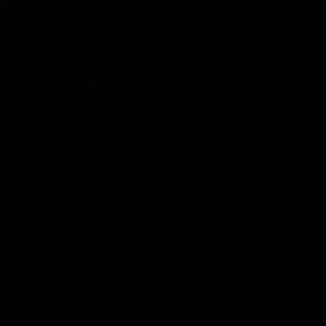 Meet your Posher, Natalia